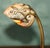 Antique French Art Nouveau Brass and Shell Table Lamp by Louis Majorelle, 1900 For Sale - Image 9 of 18