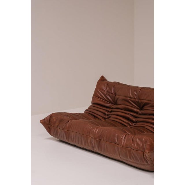 Togo Three-Seater Sofa in Cognac Leather by Michel Ducaroy for Ligne Roset, France For Sale - Image 5 of 15