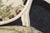 Cream Pair of Distressed French Louis XV Style Painted Arm Chairs W/ Toile Upholstery For Sale - Image 8 of 14
