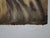 Salvador Dali, Normandie (SNCF, Suite Papillon), Lithograph For Sale - Image 6 of 7