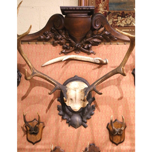 Brown 19th Century French Black Forest Style Walnut Hunting Trophy Wall Rack For Sale - Image 8 of 11