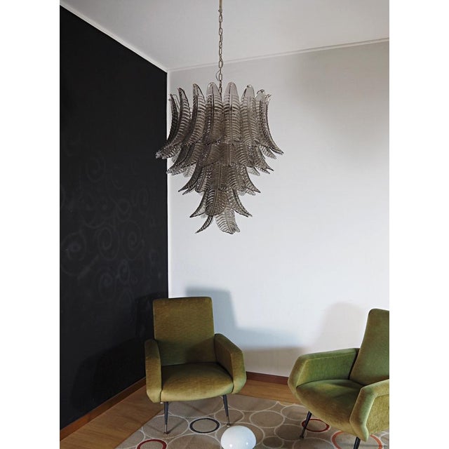 Beautiful and huge Italian Murano Chandelier composed of 52 splendid smoked glasses that give a very elegant look. The...