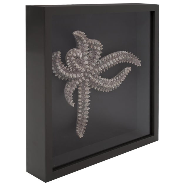 Traditional Star Fish Framed Art For Sale - Image 3 of 8