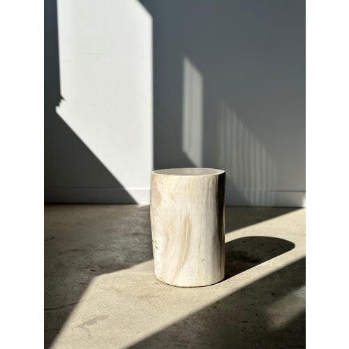 White Petrified Wood Side Table For Sale - Image 12 of 18