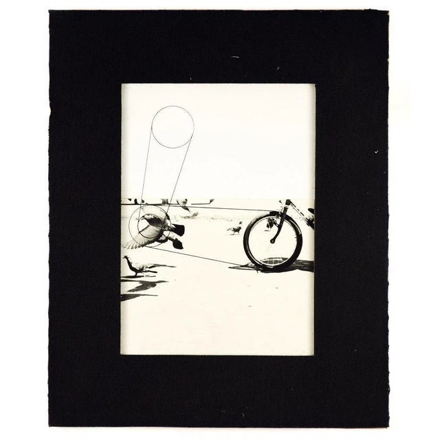 Birds - Original Mixed Media by Pino Settanni - 1970s 1970s For Sale - Image 3 of 5