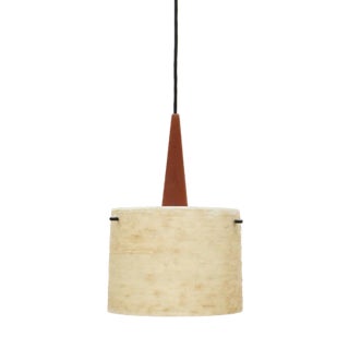 Mid-Century Teak & Fiberglass Ceiling Lamp from Dame & Co., 1960s For Sale