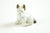 Mid 20th Century Porcelain European Dogs Figurines - A Pair For Sale - Image 4 of 4