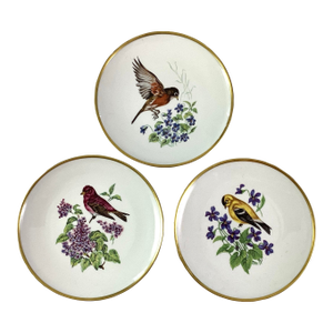 Late 19th Century Schumann Arzberg,Bavaria-Porcelain – Dessert/Salad Plates – Set of 3