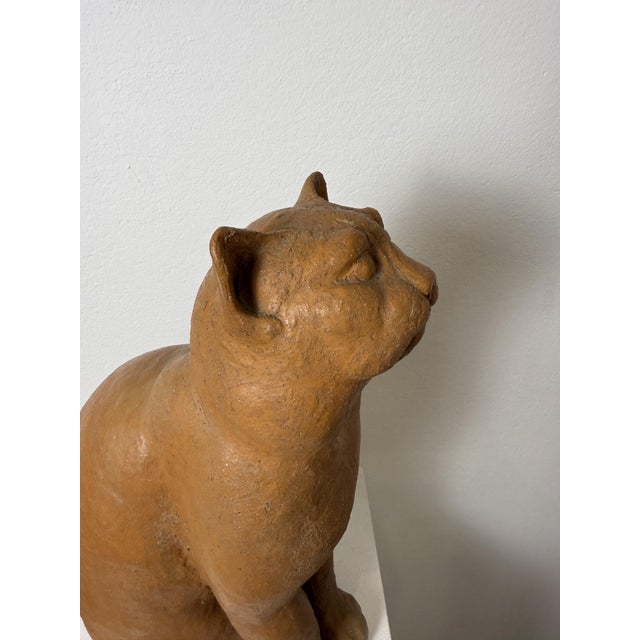 Montelupo Fiorentino Tuscan Artist, Sculpture of a Seated Cat, 19th Century, Terracotta For Sale - Image 15 of 18