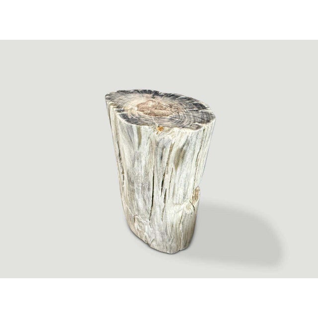 "Impressive beautiful grey tones on this ancient petrified wood side table. It’s fascinating how Mother Nature produces...