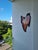 2020s Bleeding Heart - One-of-a-Kind Handcrafted Driftwood Wall Clock Sculpture For Sale - Image 5 of 18
