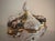 Capodimonte Vintage Bernini Footed Porcelain Bowl Gilded With Cherubs For Sale In Milwaukee - Image 6 of 9