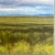 2020s Western Landscape Painting - Big Sky Montana Summer Prairie by James Bason For Sale - Image 5 of 10