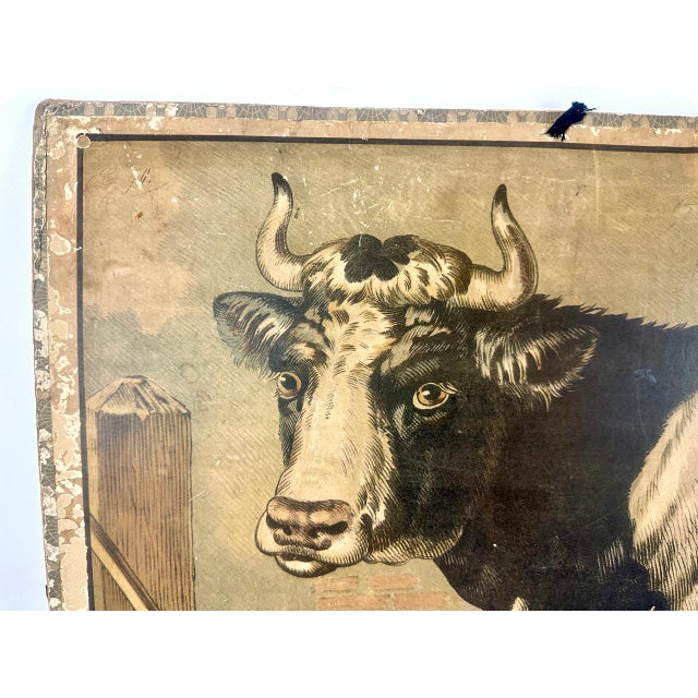 Czech Educational School Board with Cow, 1900s For Sale - Image 6 of 12
