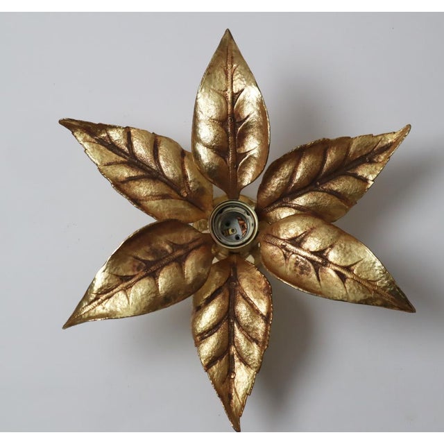 Golden Flowers Wall Lamp by Willy Daro from Massive, 1970s For Sale - Image 11 of 17