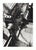 L. E. Berka, Untitled, 1931, Signed Gelatin Silver Print For Sale - Image 7 of 7
