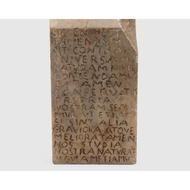 Maria Dompe, Lady, Marble and Fabric Conceptual Abstract Sculpture Maria Dompe For Sale - Image 4 of 8