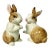 1980s Vintage Hollywood Regency Brown-Eyed Bunny Salt and Pepper Shakers - A Pair, Fitz & Floyd For Sale