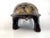 Vintage Mid Century Gilt-Finish Tortoise Sculpture, Hollywood Regency Style Decorative Object For Sale - Image 10 of 15