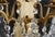 Mid 20th Century Pair of Restored French Plaza Hotel Crystal Wall Sconces For Sale - Image 6 of 10