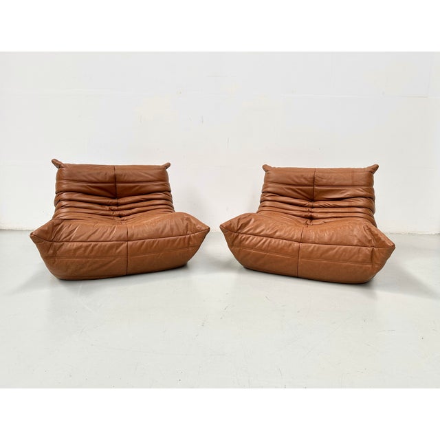 Togo Lounge Chairs in Cognac Cow Leather attributed to Michel Ducaroy for Ligne Roset, Set of 2 For Sale - Image 13 of 13