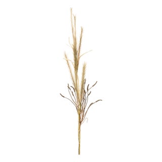 Foxtail Grass Spray (Set of 2) For Sale