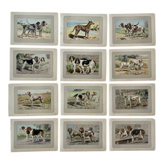 1907 French Photogravure Prints - Collection of Twelve Hunting Dogs #2 For Sale