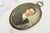Early 20th Century Art Antique Portrait Miniature Painting Young Man Portrait in Ornate Brass Frame Home Decor For Sale - Image 12 of 16