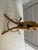 Rattan Coat Hanger, 1960s For Sale - Image 4 of 10
