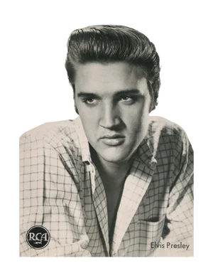 Elvis Presley Portrait, 20th Century, Photograph