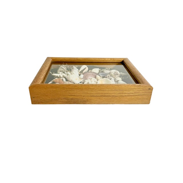 Description: A charming vintage seashell shadow box featuring an artful arrangement of natural shells and coral fragments...