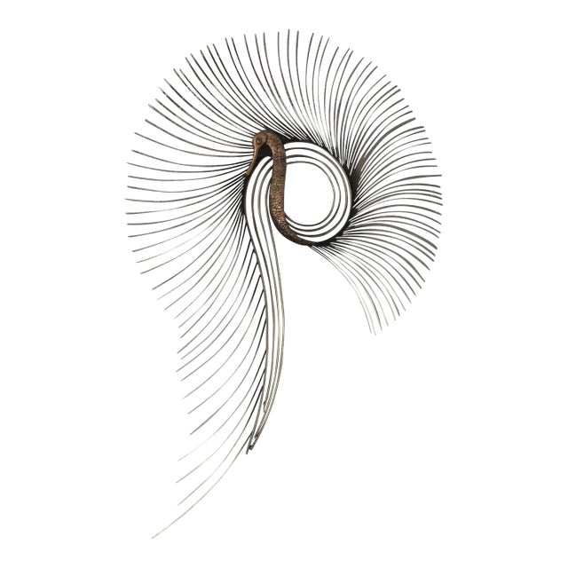 1980s Mid-Century Modern Curtis Jere Signed Brass Peacock Starburst For Sale