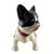 Early 20th Century Antique Hand-Painted Boston Terrier Ceramic Dog Statue With Red Collar For Sale - Image 5 of 9