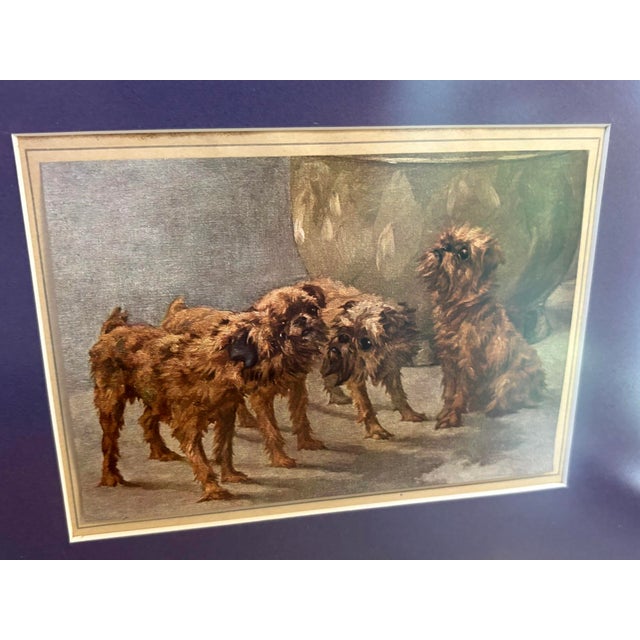 Traditional Brussels Griffon Trio Framed Print For Sale - Image 3 of 3