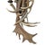 Pair of Fallow Deer Antler Sconces For Sale In Chicago - Image 6 of 13