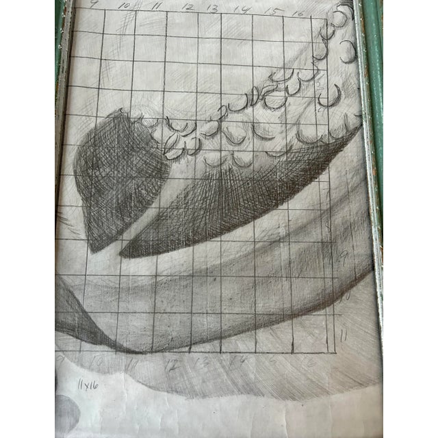 Vintage Bell Pepper Study Pencil Drawing, 1980s For Sale - Image 9 of 13