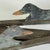 Unidentified Primitive Folk Art Wooden Pair of Painted Duck Decoys Creation For Sale - Image 12 of 15