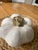 VIETRI Vintage Vietri Handmade Italian White Pumpkin Covered Bowl With Lid For Sale - Image 4 of 9