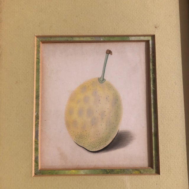 Realism Gallery Wall Collection-2 Vintage Hyper Realistic Colored Fruit Drawings Original Frames 1950’s - a Pair For Sale - Image 3 of 5