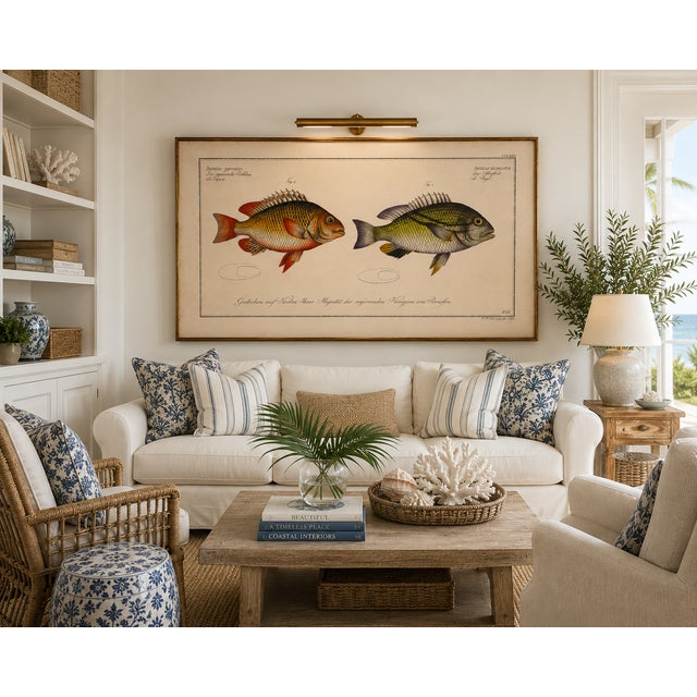 Paint Antique Fish Study 1, Vintage Art Print Reproduction, 30" X 20" For Sale - Image 7 of 10