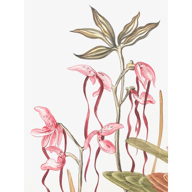 Chinoiserie "A Little Bird Told Me" Tropical Chinoiserie by Allison Cosmos For Sale - Image 3 of 6
