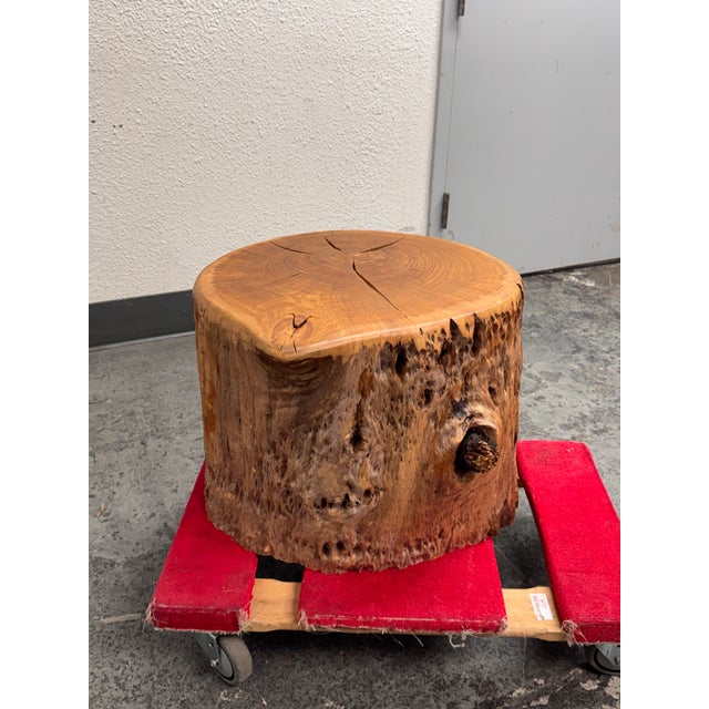 Design Plus Gallery presents a Round Live Edge Tree Side Table. Cut from a solid section of tree trunk, this piece...