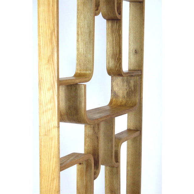 Mid-Century Modern Room Divider by Ludvik Volak for Drevopodnik Holesov, 1960s For Sale - Image 16 of 18