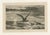 After R. Ansdell, Seagulls at Sunset on Coastal Cliffs, Etching, 1872 For Sale - Image 4 of 9