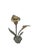 Vintage Brass Lily Flower Candle Holder For Sale - Image 15 of 18