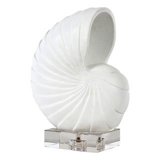 Nautilus Shell Small, White For Sale