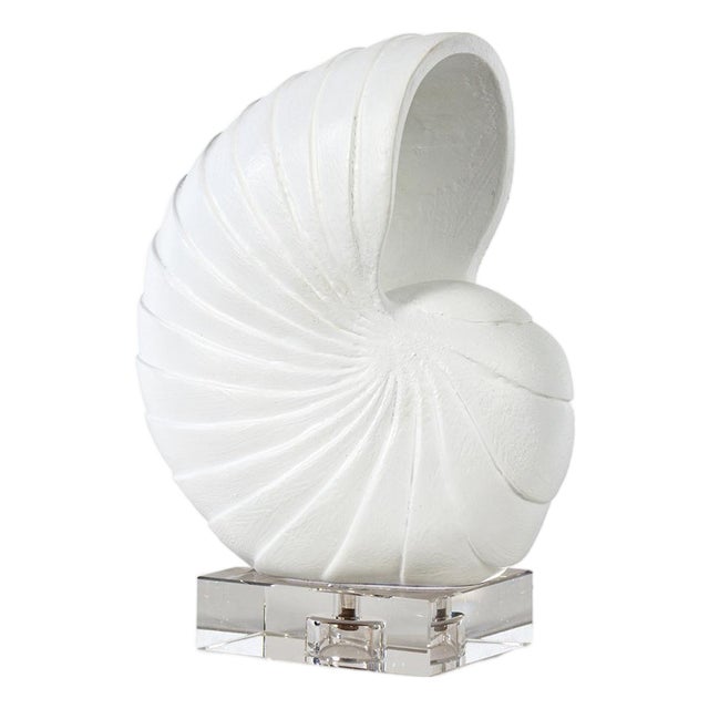 Nautilus Shell Small, White For Sale