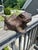 Metal Bronze Frog Sculpture For Sale - Image 7 of 11