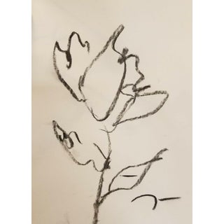 Contemporary Minimalist Floral Still Life Charcoal Drawing by Jose Trujillo For Sale