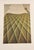 This print features Green Bed Cover (1969), a characteristic work by Italian artist Domenico Gnoli, known for his close-...